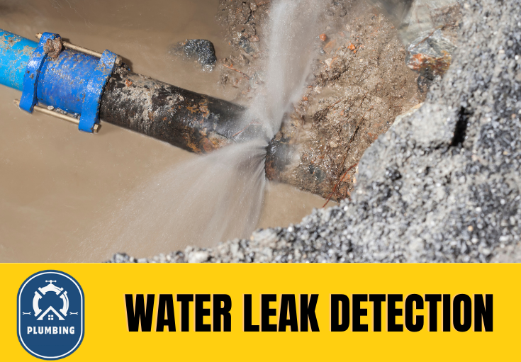 leak detection Widnes